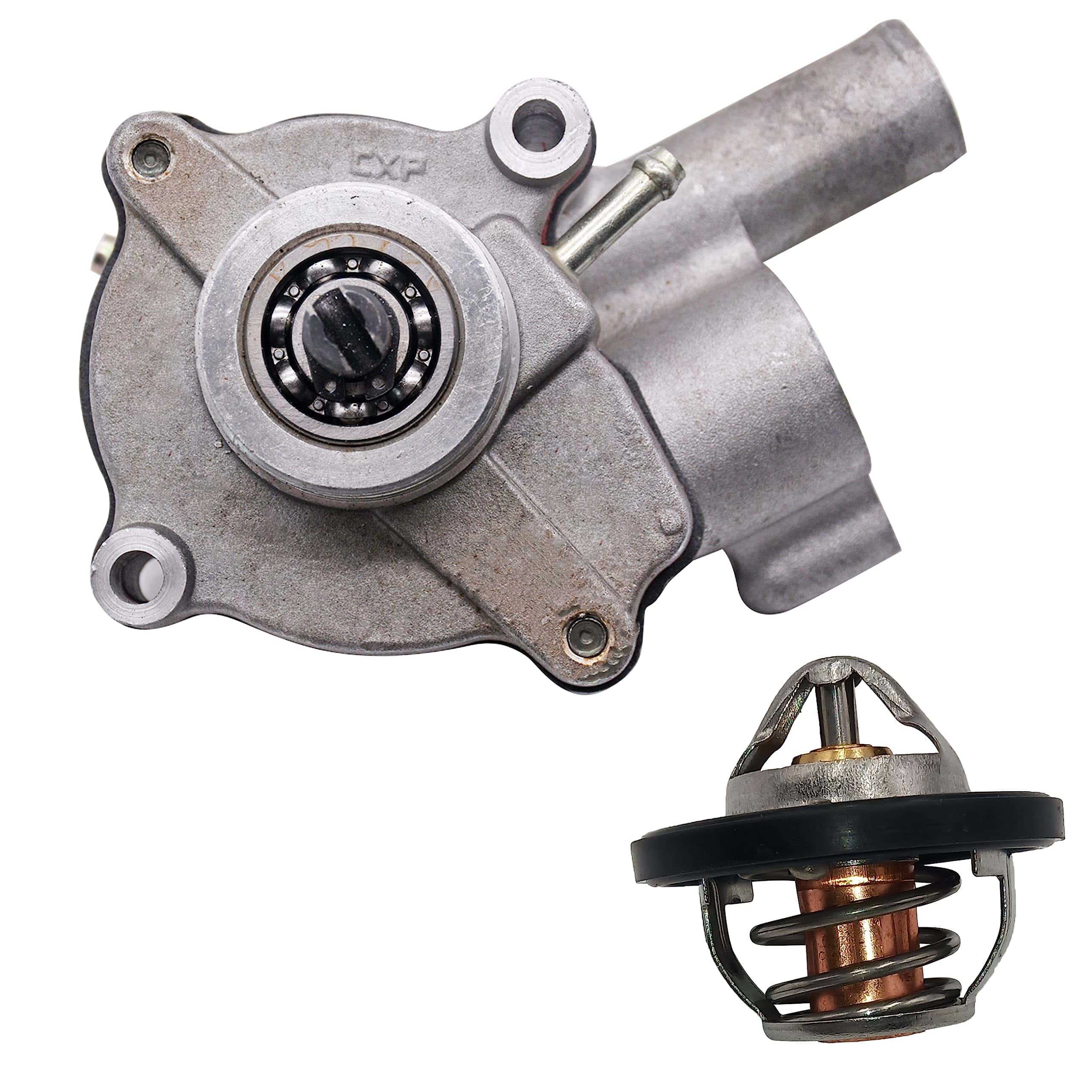 Ensamble de Bomba de Agua Lanigram Apto para Yamaha Grizzly