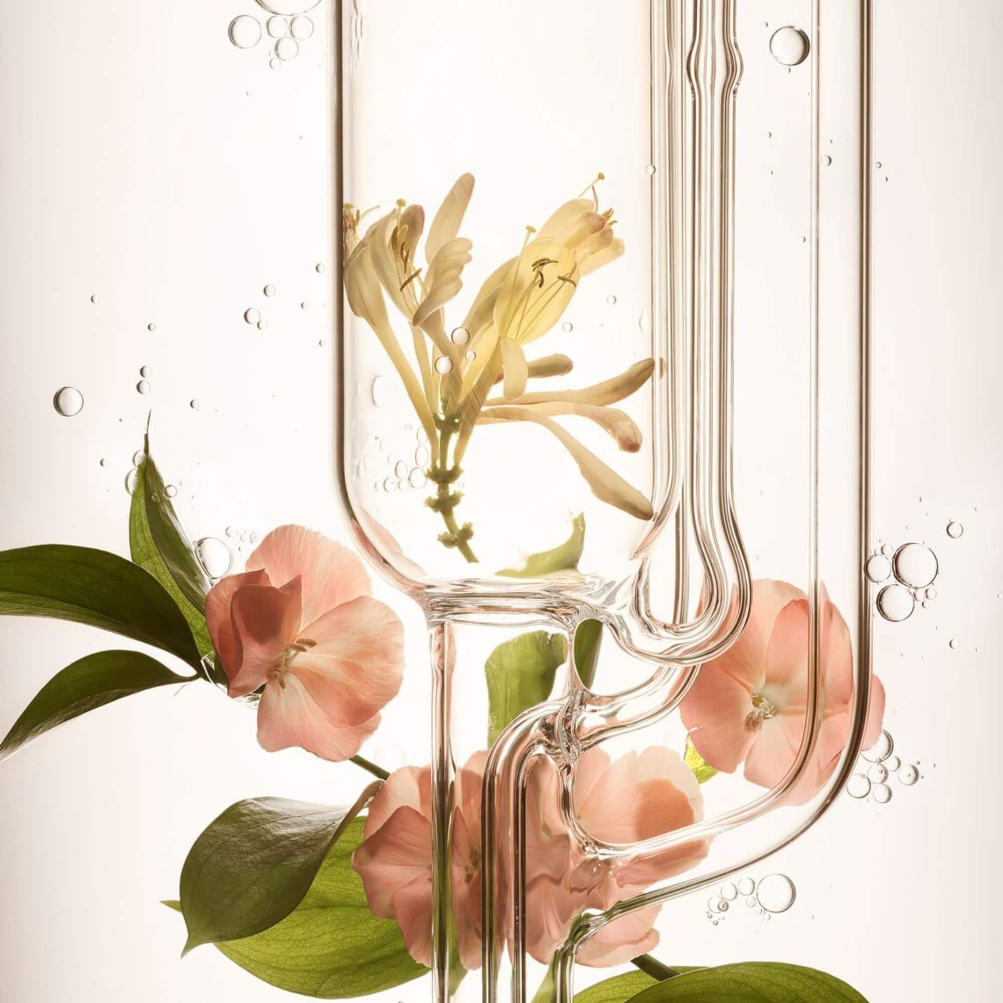 Acondicionador RODAN + FIELDS VOLUME+ | 8 Fl Oz | - Imagen 8