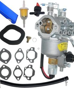 Carburador Lanigram A041D736 para Onan Cummins A042P622