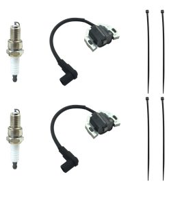 2 Juegos de Módulo de Bobina de Encendido 21171-0743 para