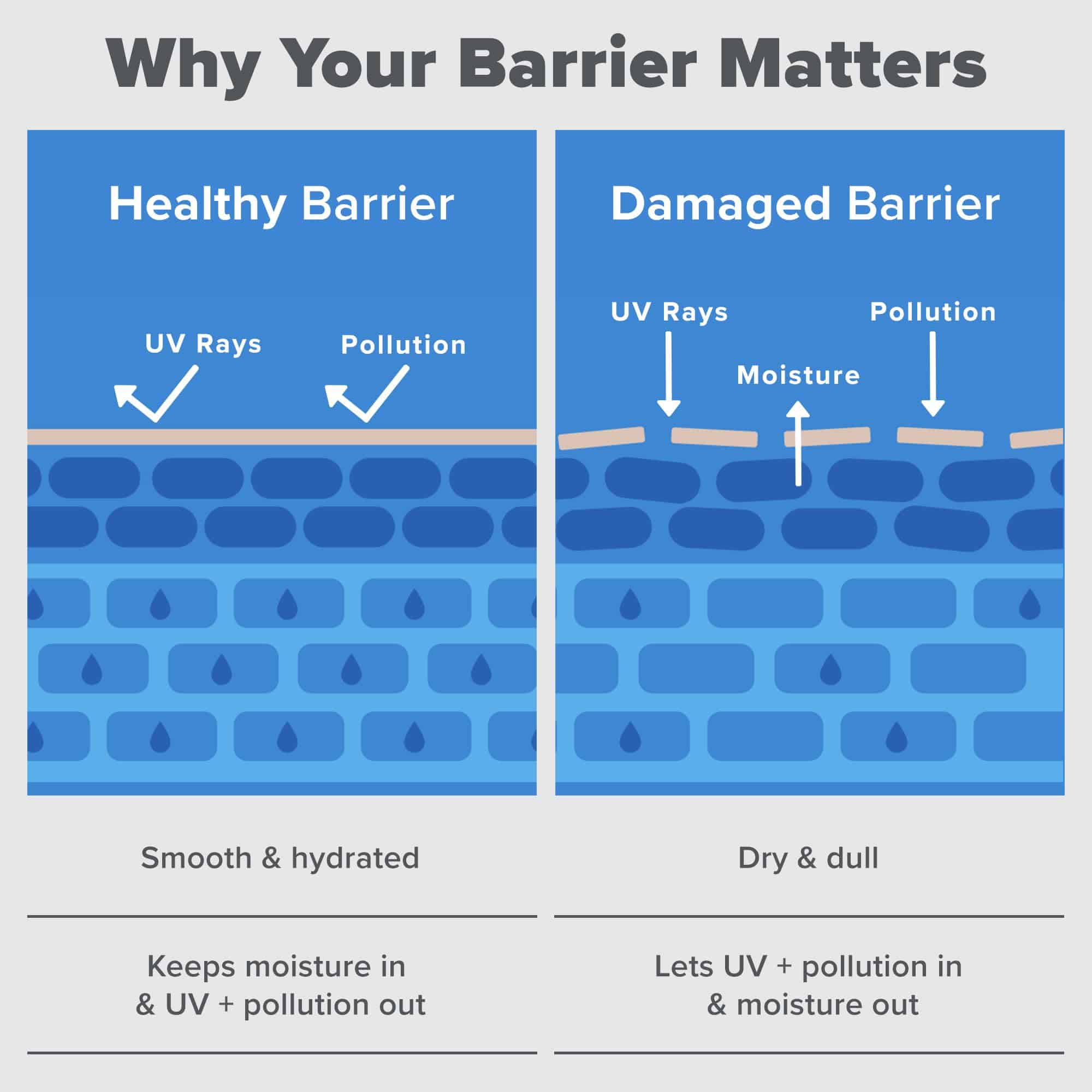 Paula's Choice RESIST Barrier Repair Advanced Moisturizer - Imagen 9