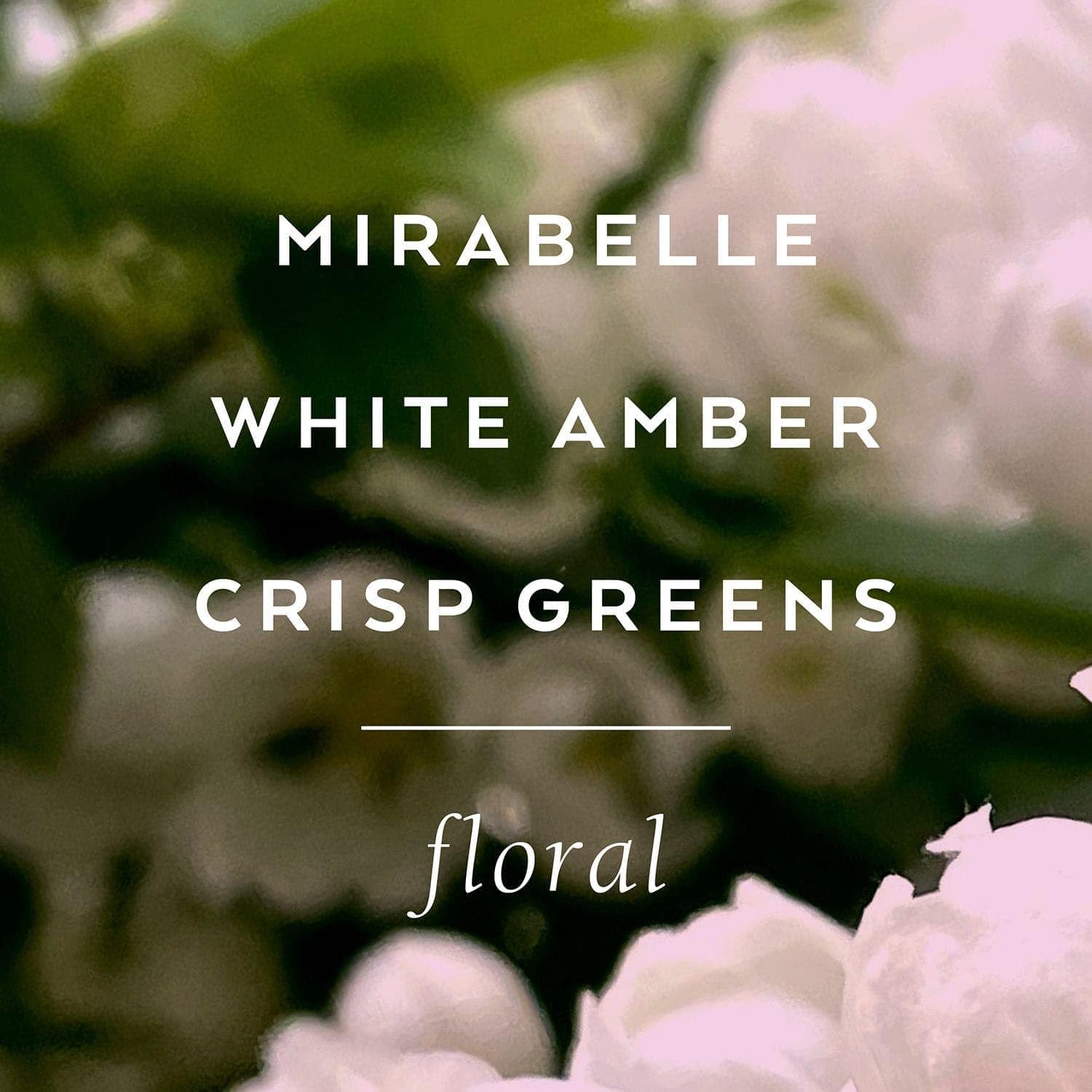 Crema Corporal Lollia Elegance, 5.5 oz - Ámbar Blanco y - Imagen 5