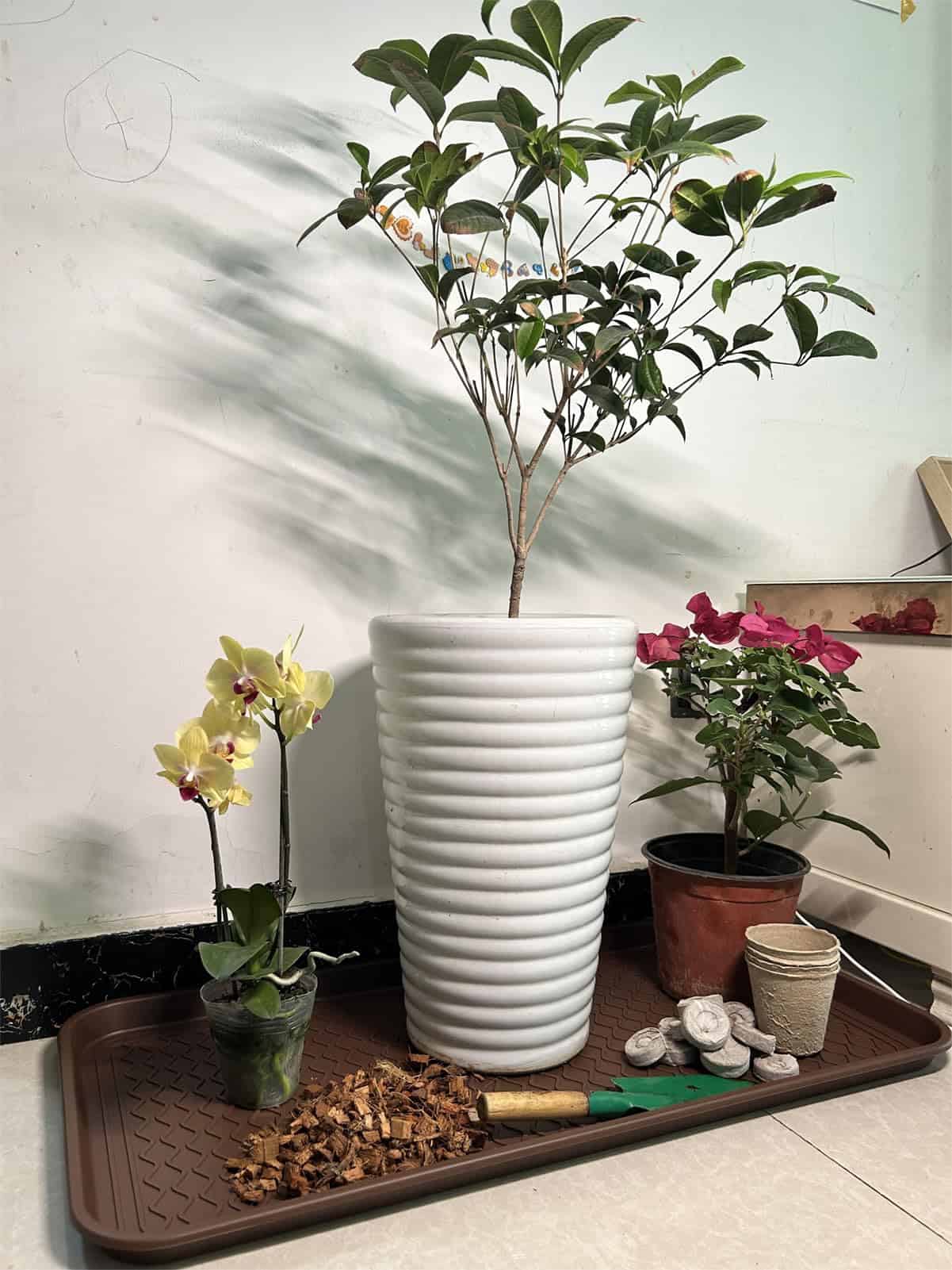 Juego de 2 Bandejas Grandes Multifuncionales para Botas - Imagen 4