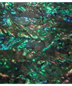 Chapa Adhesiva Mejorada de Paua Blanco FICCIENT (9.4" x