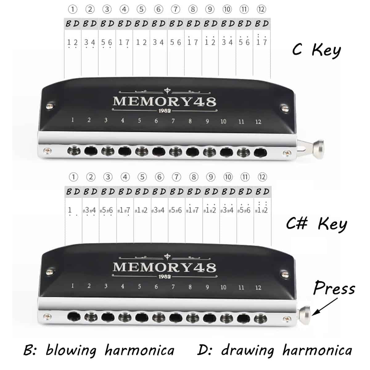 Armonica Cromática de 12 Agujeros 48 Tonos en Clave de Do - Imagen 5