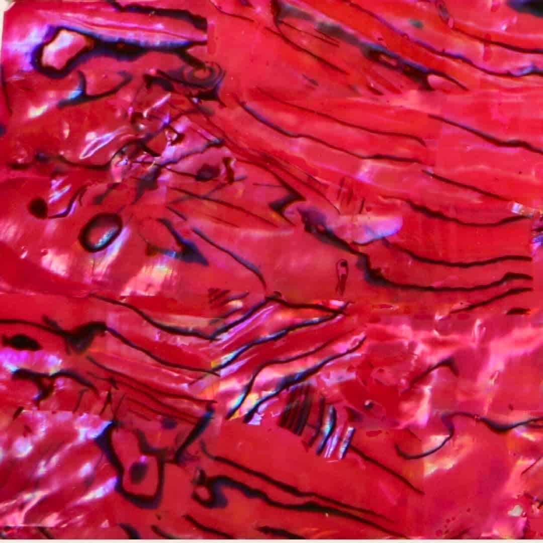 Chapa de incrustación de concha de abulón -Rosa Topacio