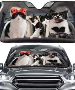 Parabrisas de coche para bloquear el sol - Protector de