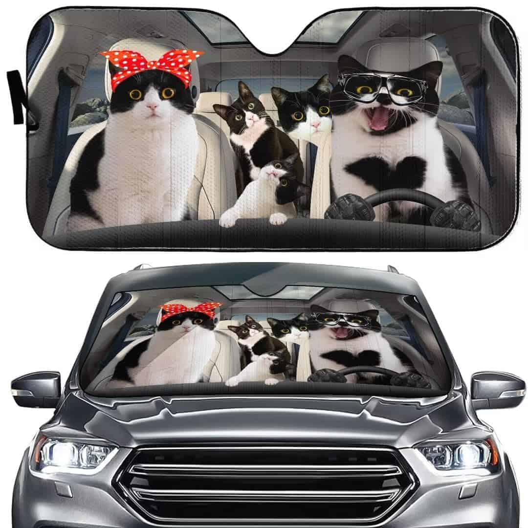 Parabrisas de coche para bloquear el sol - Protector de