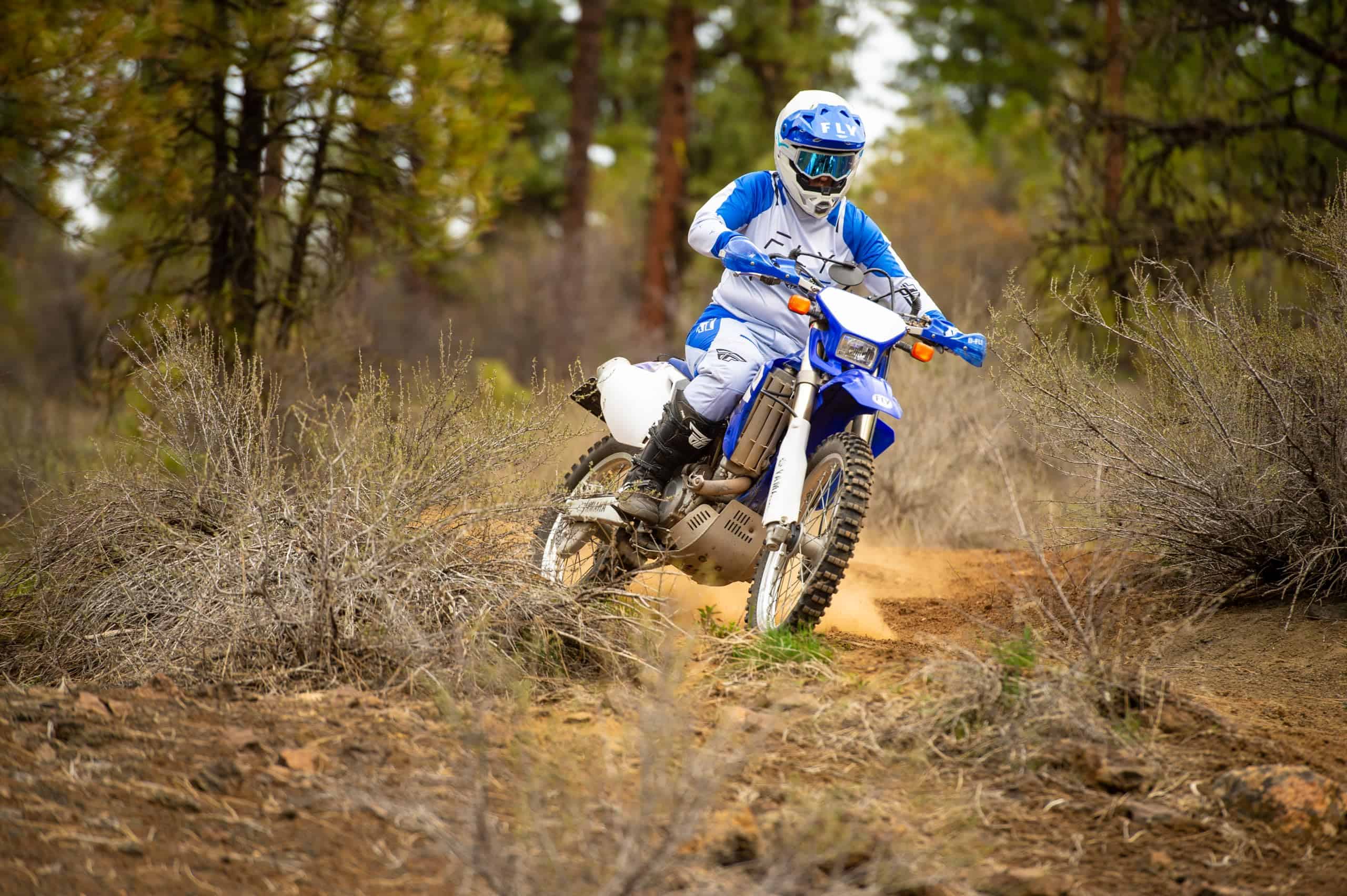 Pantalones Fly Racing Women's F-16 (Color Artic Grey/Blue - Imagen 3