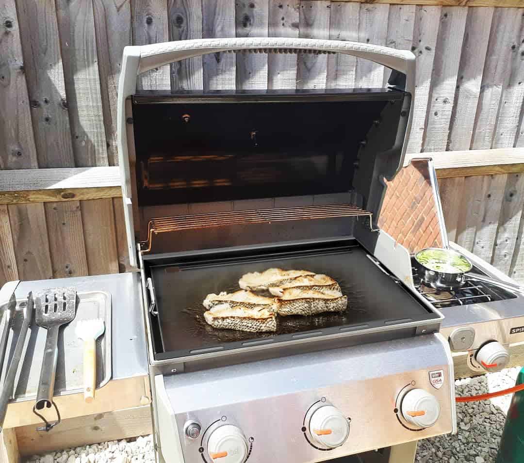 Insertos de Parrilla de Tamaño Completo para Weber Spirit & - Imagen 5