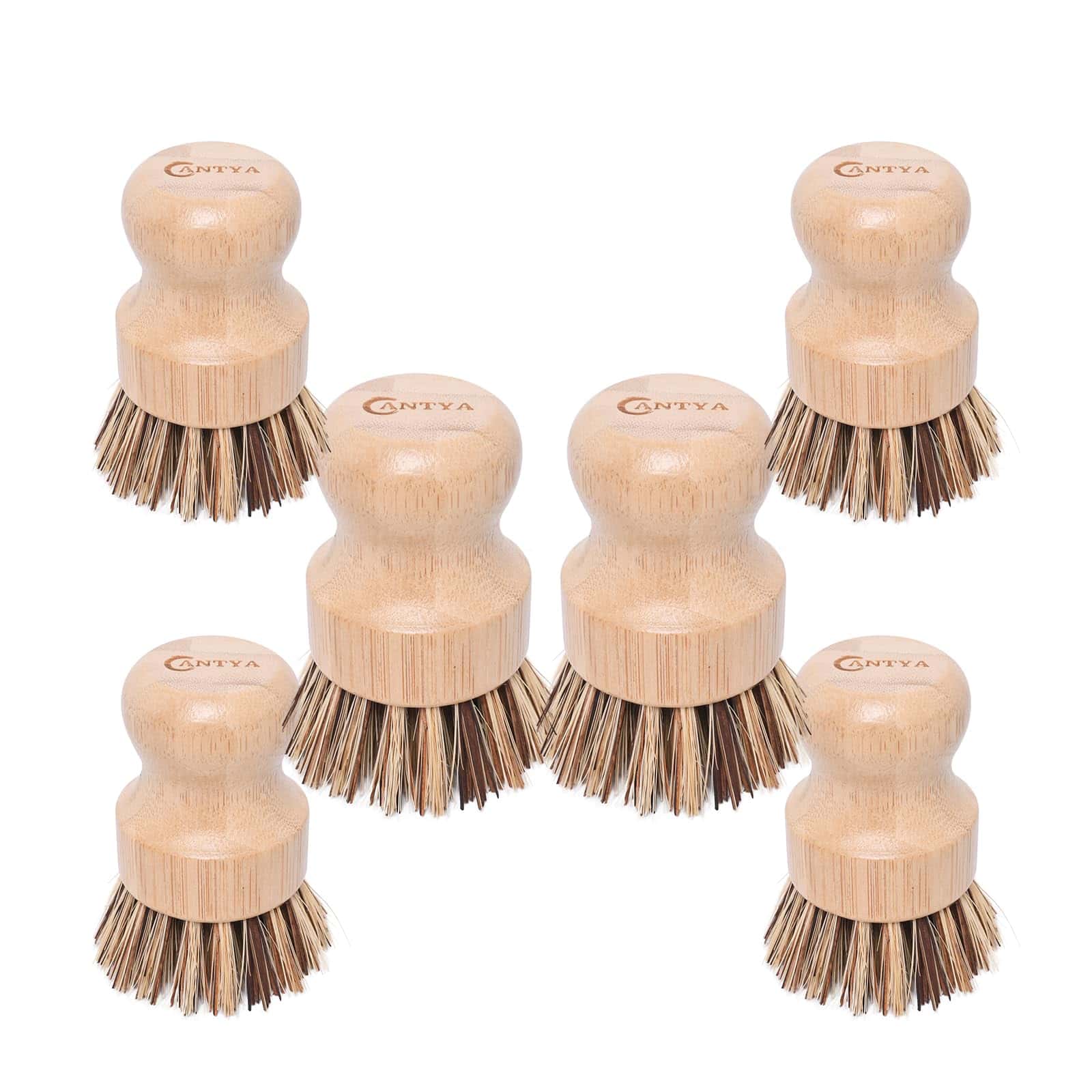 Set de 6 Cepillos de Bambú para Platos, Cerdas Duras