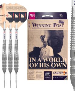 Dardos Target Raymond Van Barneveld Edición de 25