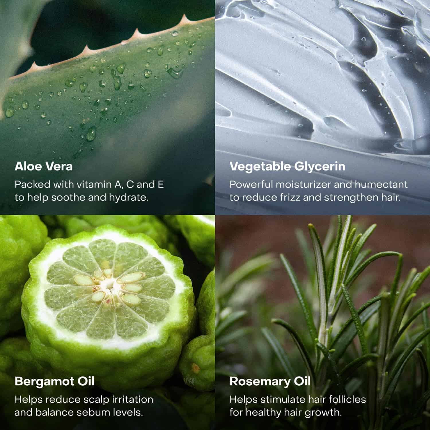 Everist The Haircare Essentials Duo, Champú y - Imagen 6