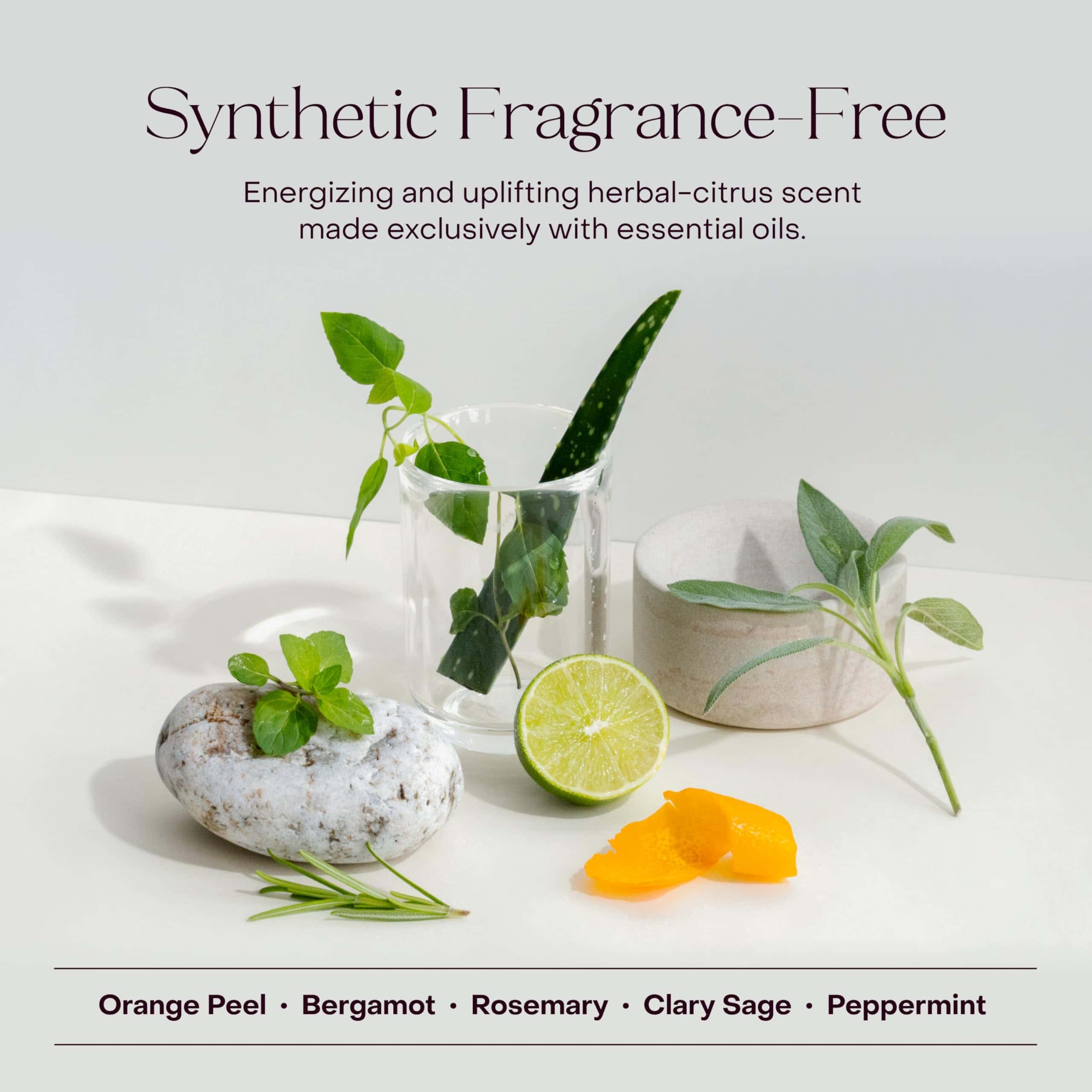 Everist The Haircare Essentials Duo, Champú y - Imagen 8