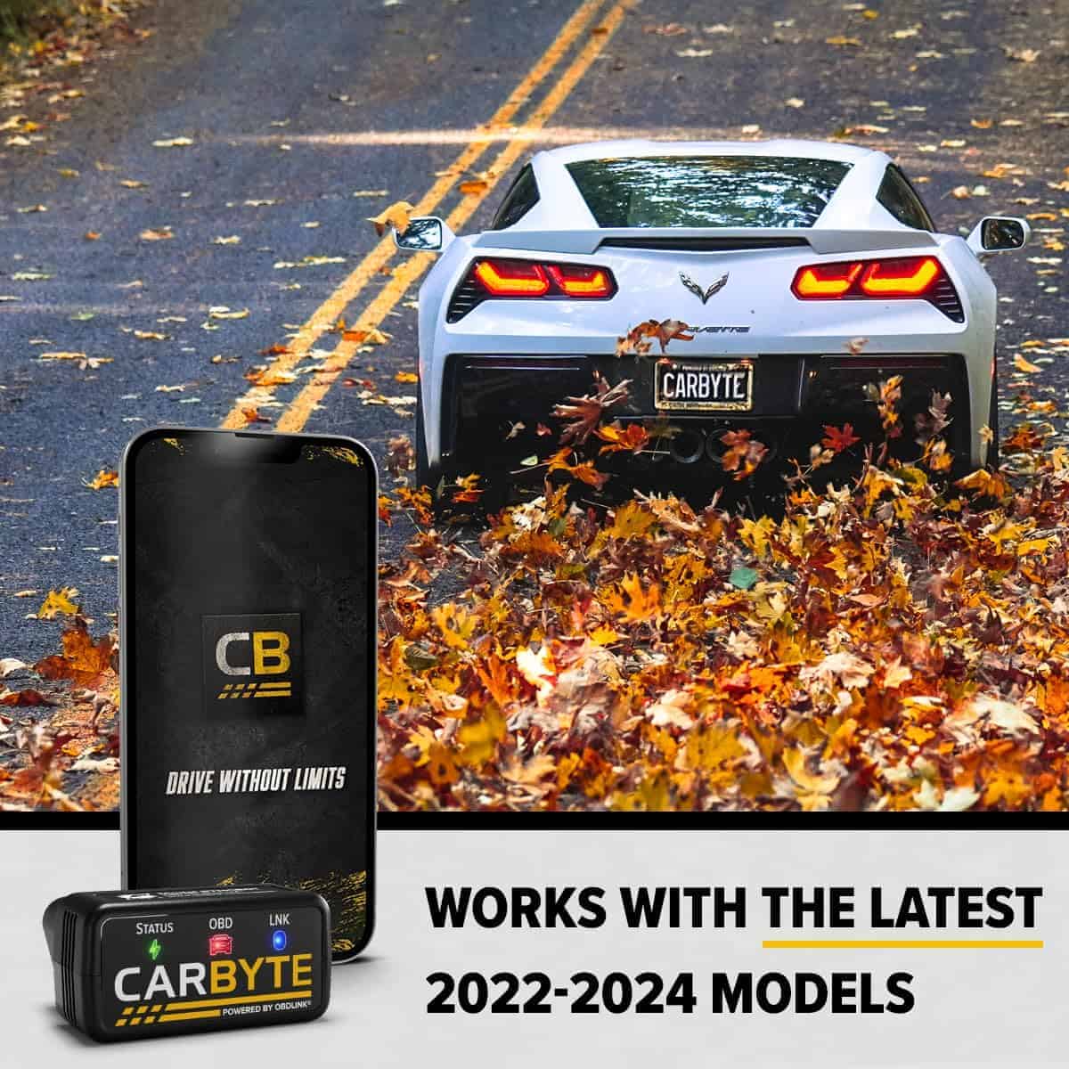 Carbyte AFM/DFM Disabler & Auto Start/Stop Eliminator para - Imagen 4