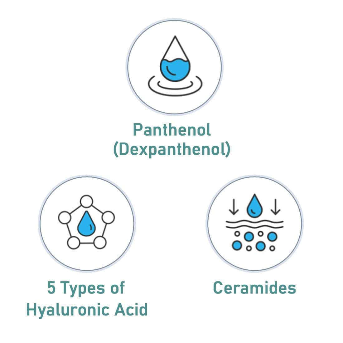 Sistema de cuidado de la piel Atomy The Fame Nutrition - Imagen 5