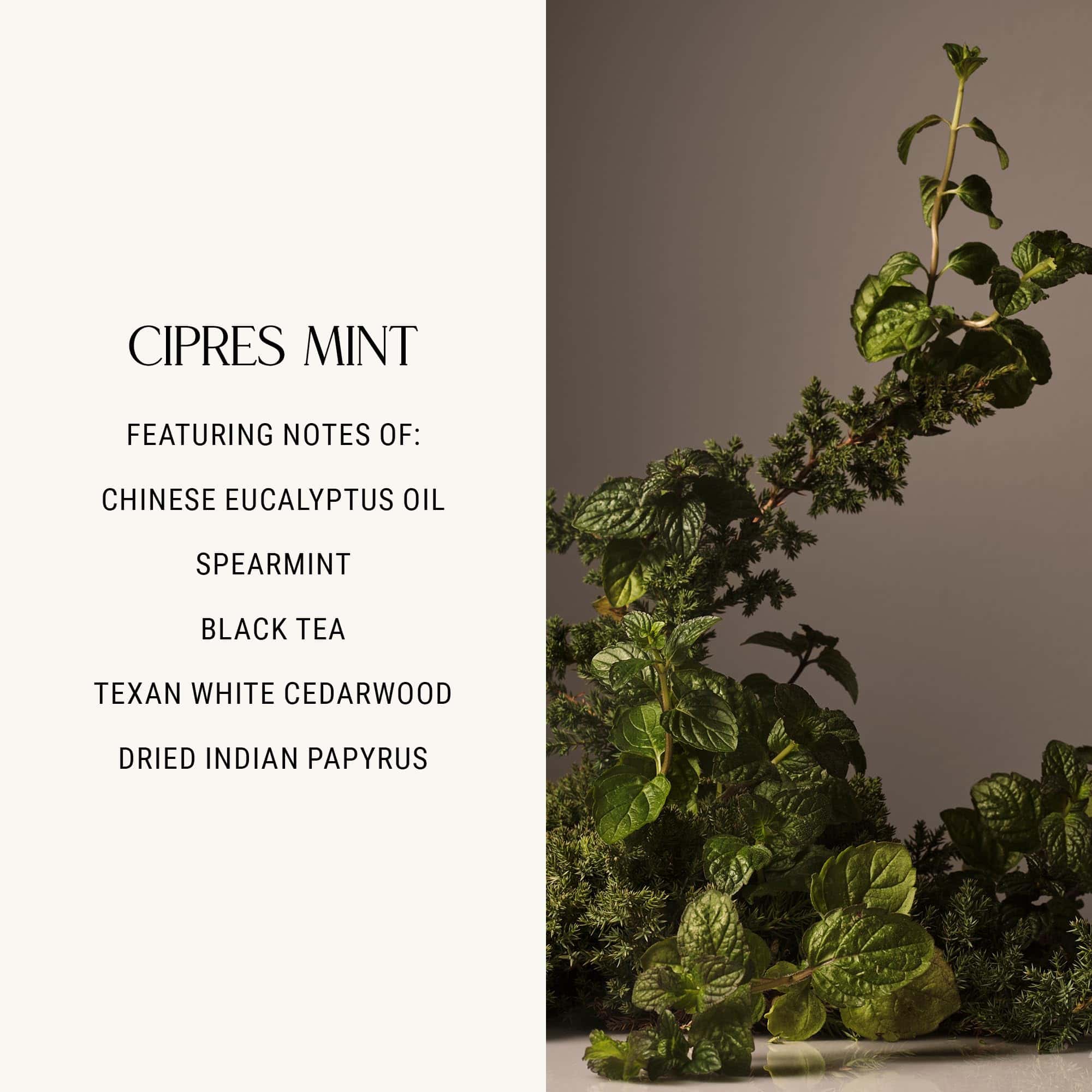 Desodorante para Habitaciones de Homecourt, Spray Ambiental - Imagen 5