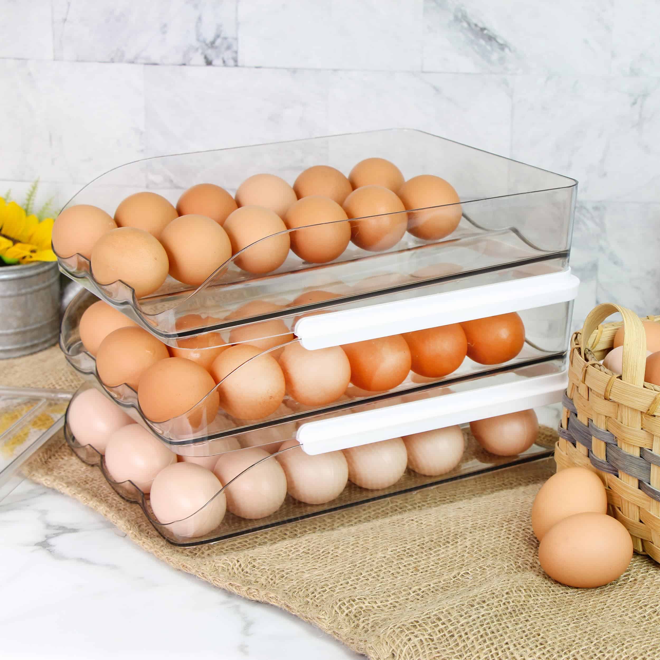 Contenedor de Huevos para Refrigerador Creekview Home - Imagen 8