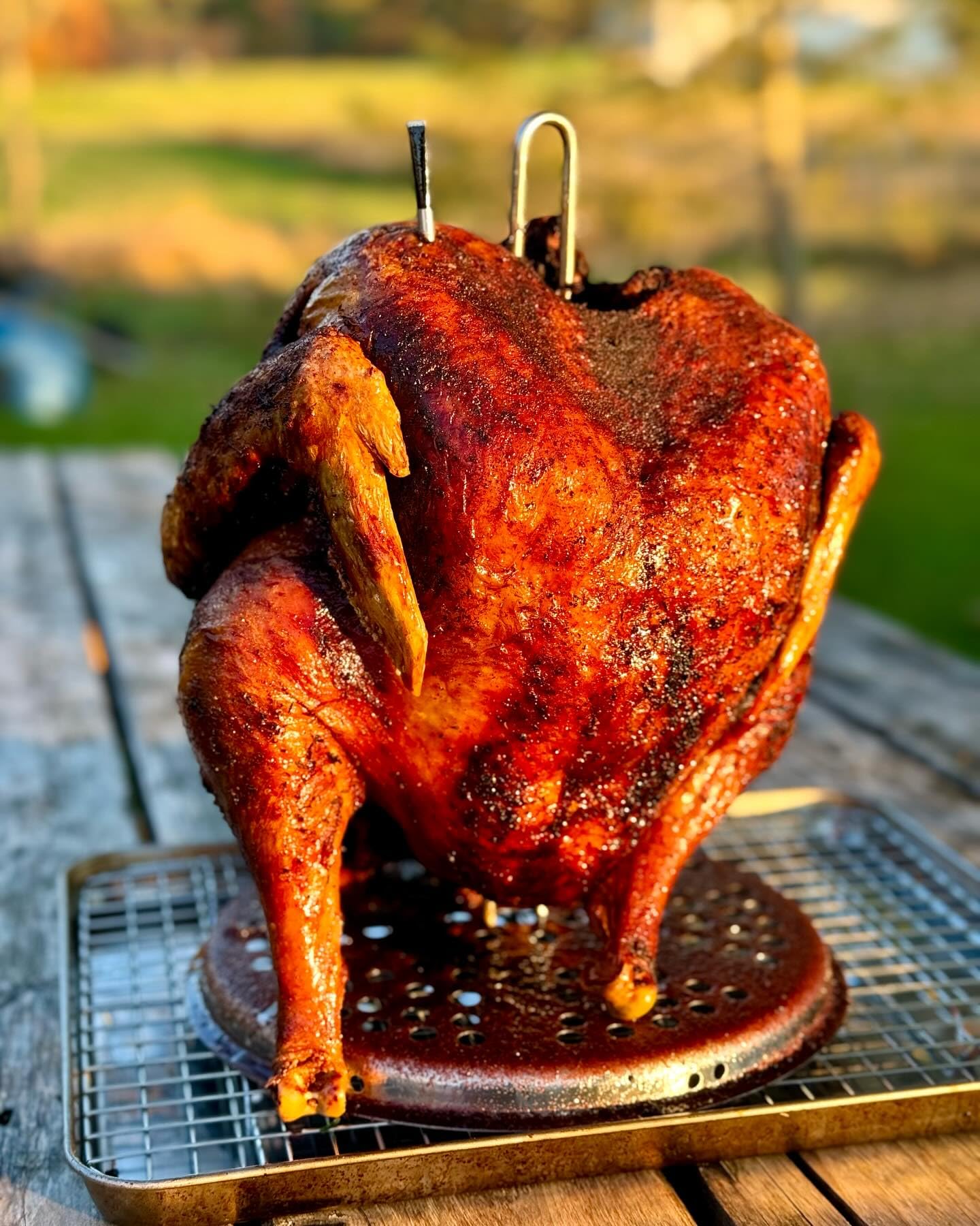 DELSbbq Turkey Fryer Stand Kit Wire Handle Lifter Hook, - Imagen 8