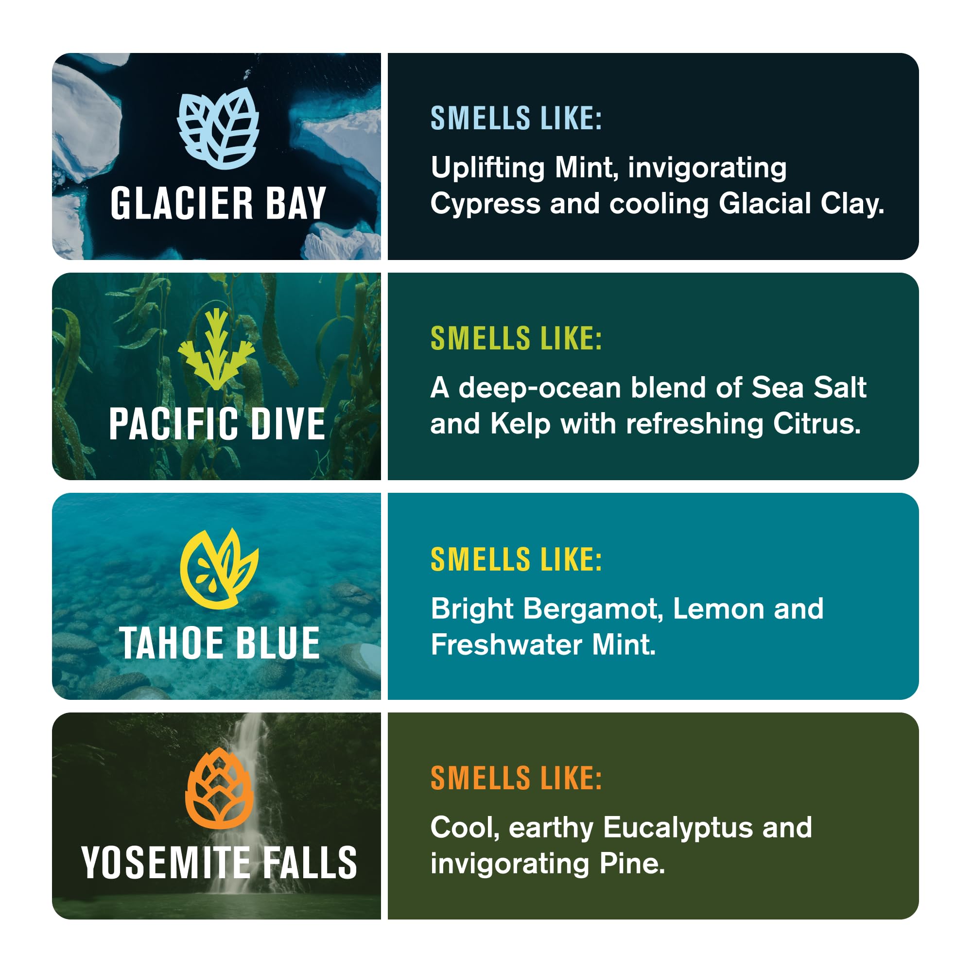 Set de 8 Barras de Jabón para Hombre Every Man Jack Cold - Imagen 4