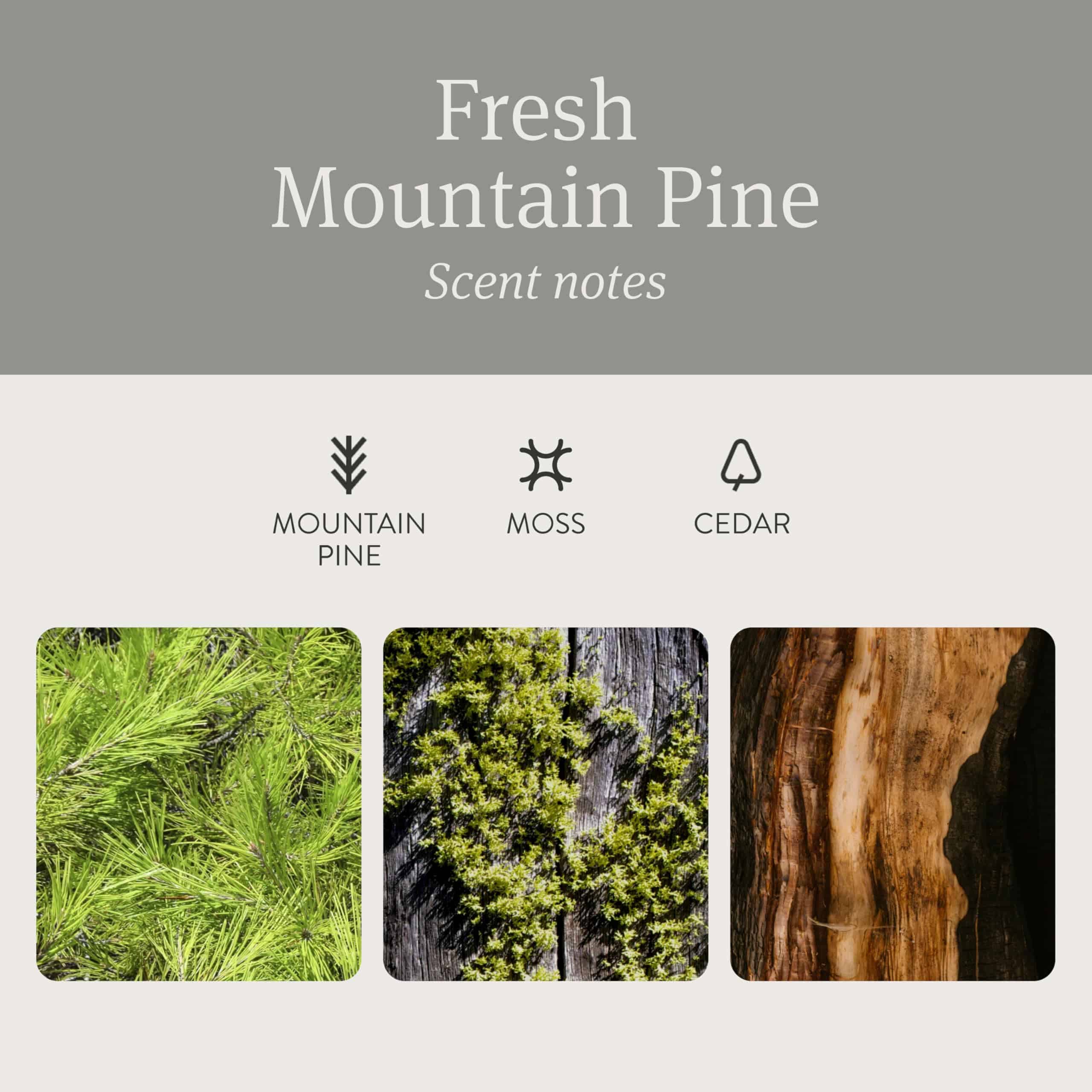 Eliminador de olores para coche Drift - Ambientador de - Imagen 5