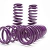 Muelles de Suspensión D2 PRO (06-11 Civic)