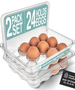 Home Intuition Bandeja Contenedora de Plástico Transparente