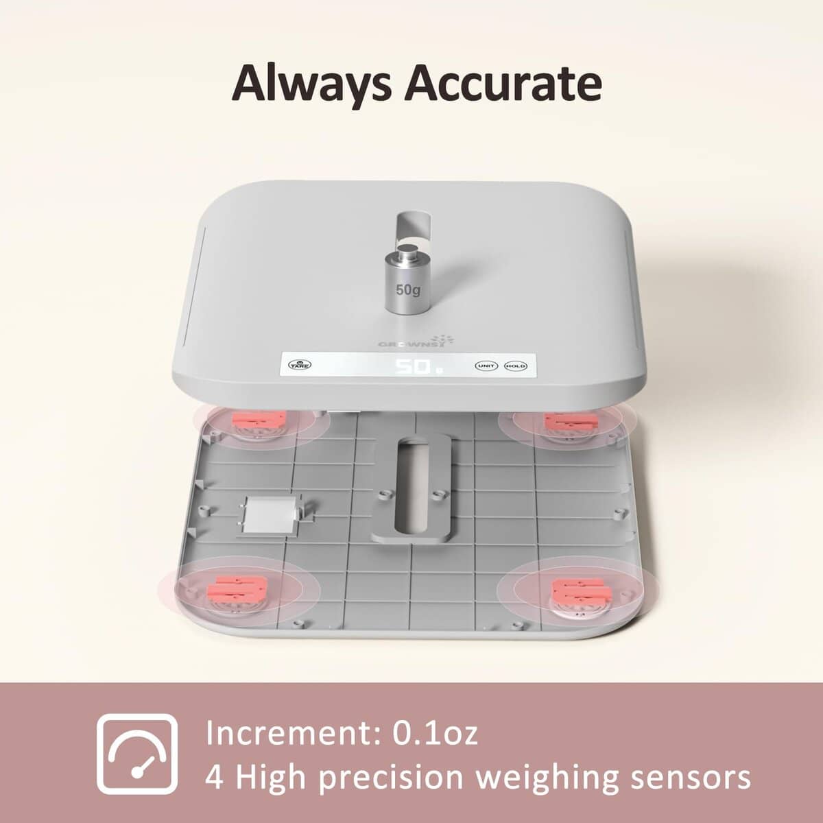 Báscula Multifuncional para Bebés y Mascotas - Pesa Hasta - Imagen 7