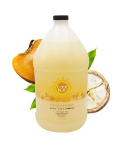BoaVida Citrus Plus Elder Champú Desodorizante y Gel de