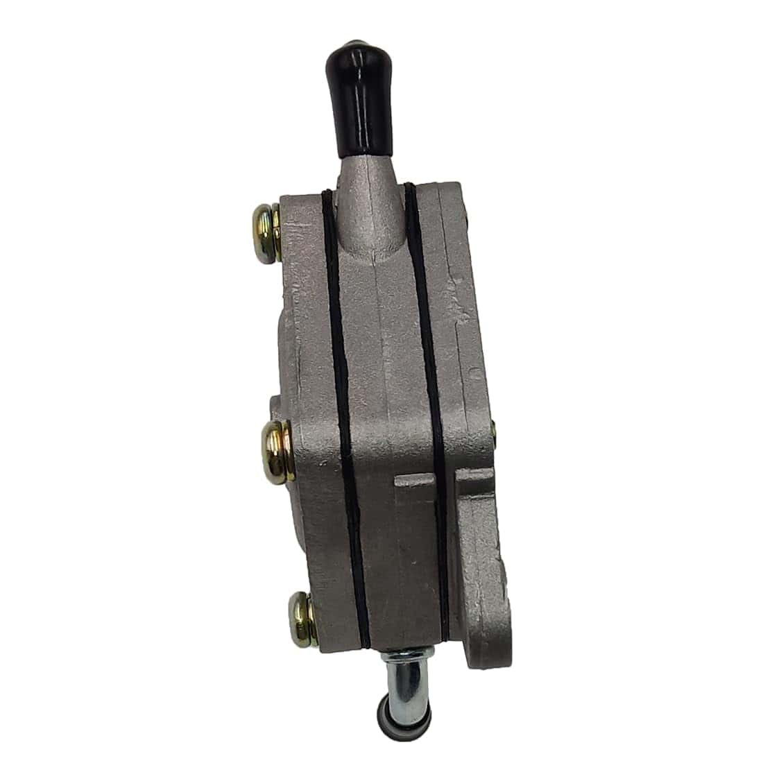 Carburador Rebuiman AM122462 con Bomba de Combustible para - Imagen 8