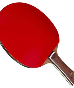 Paleta de Ping Pong Thief | Diseñada para DOMINAR en