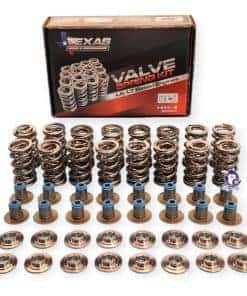 Kit de Resortes de Válvulas Duales TSP .660" de Texas Speed