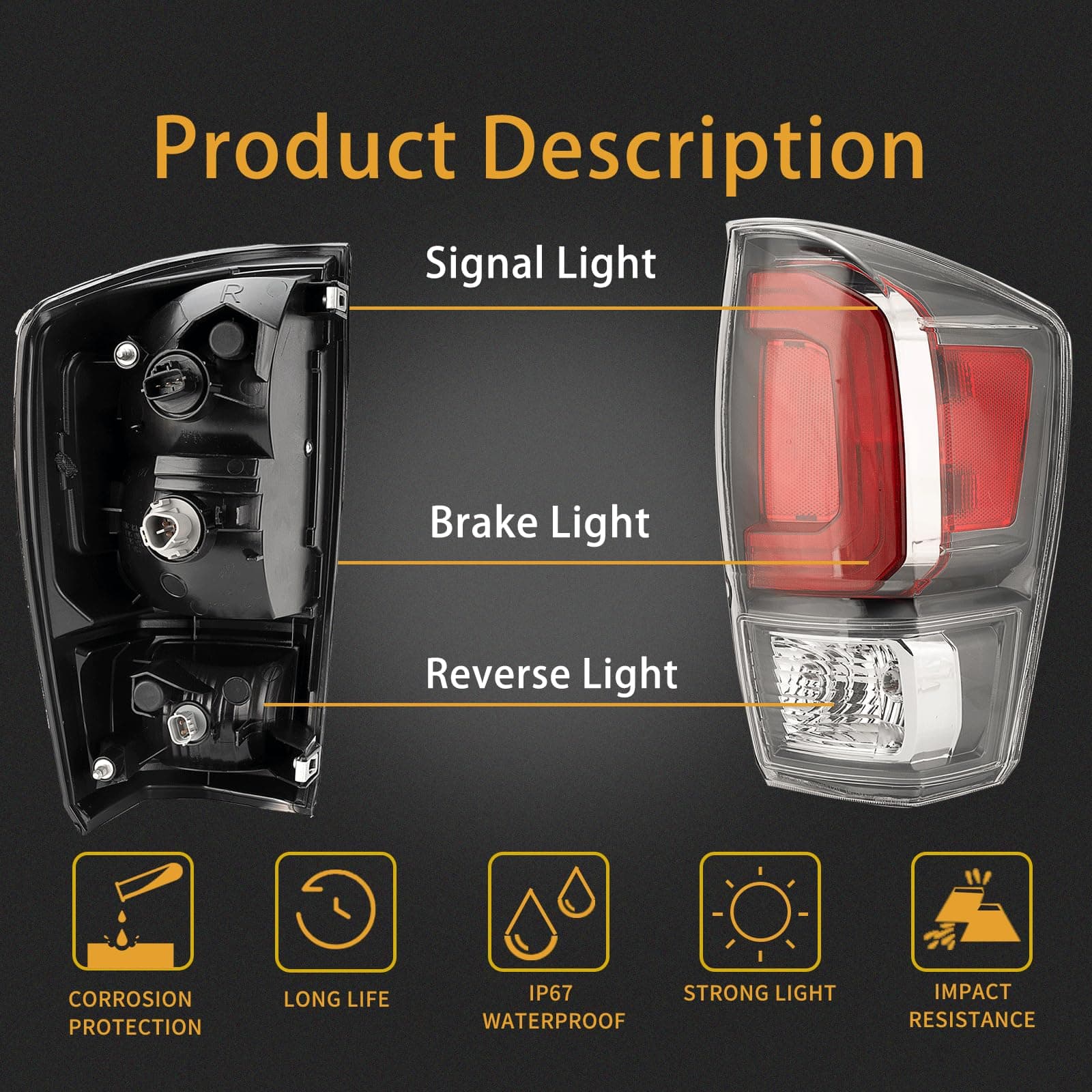 Conjunto de luz trasera MiKaFex compatible -Derecho del lado - Imagen 3