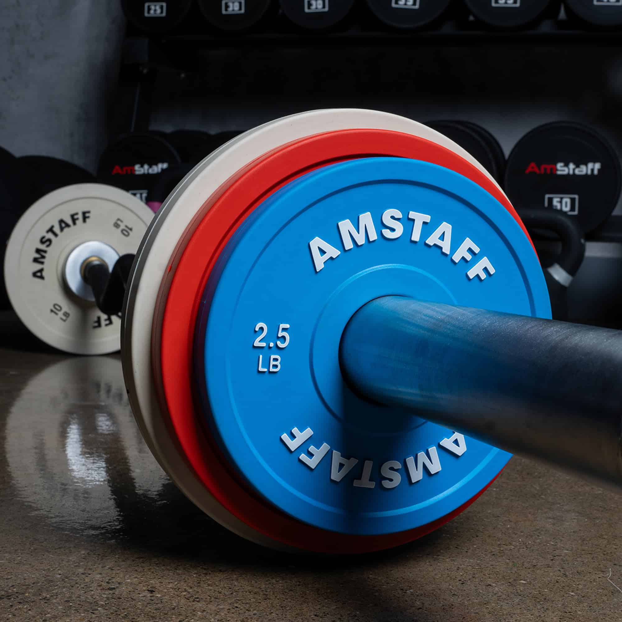 Placas AmStaff Fitness para Cambios y Fracciones - Equipo - Imagen 5