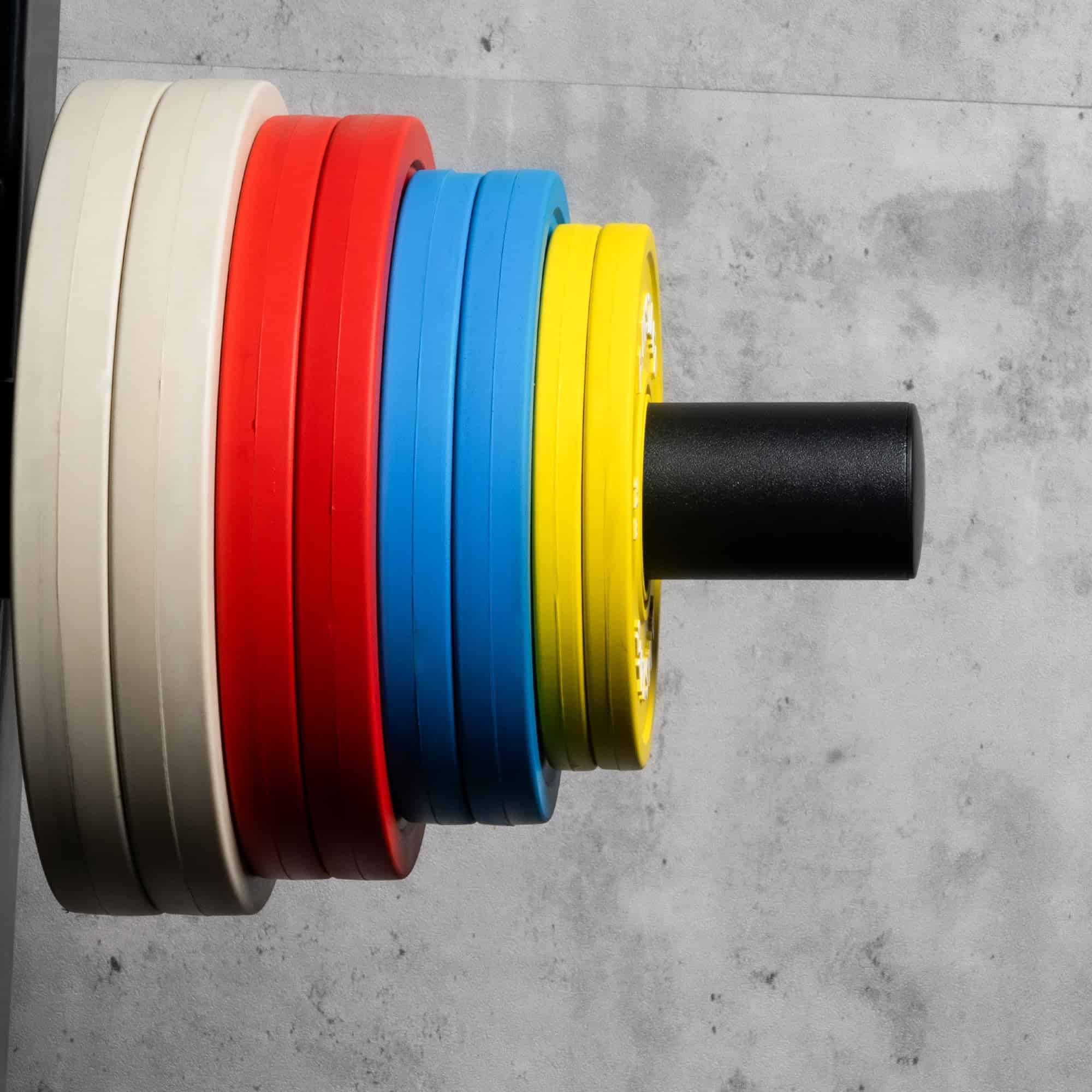 Placas AmStaff Fitness para Cambios y Fracciones - Equipo - Imagen 8