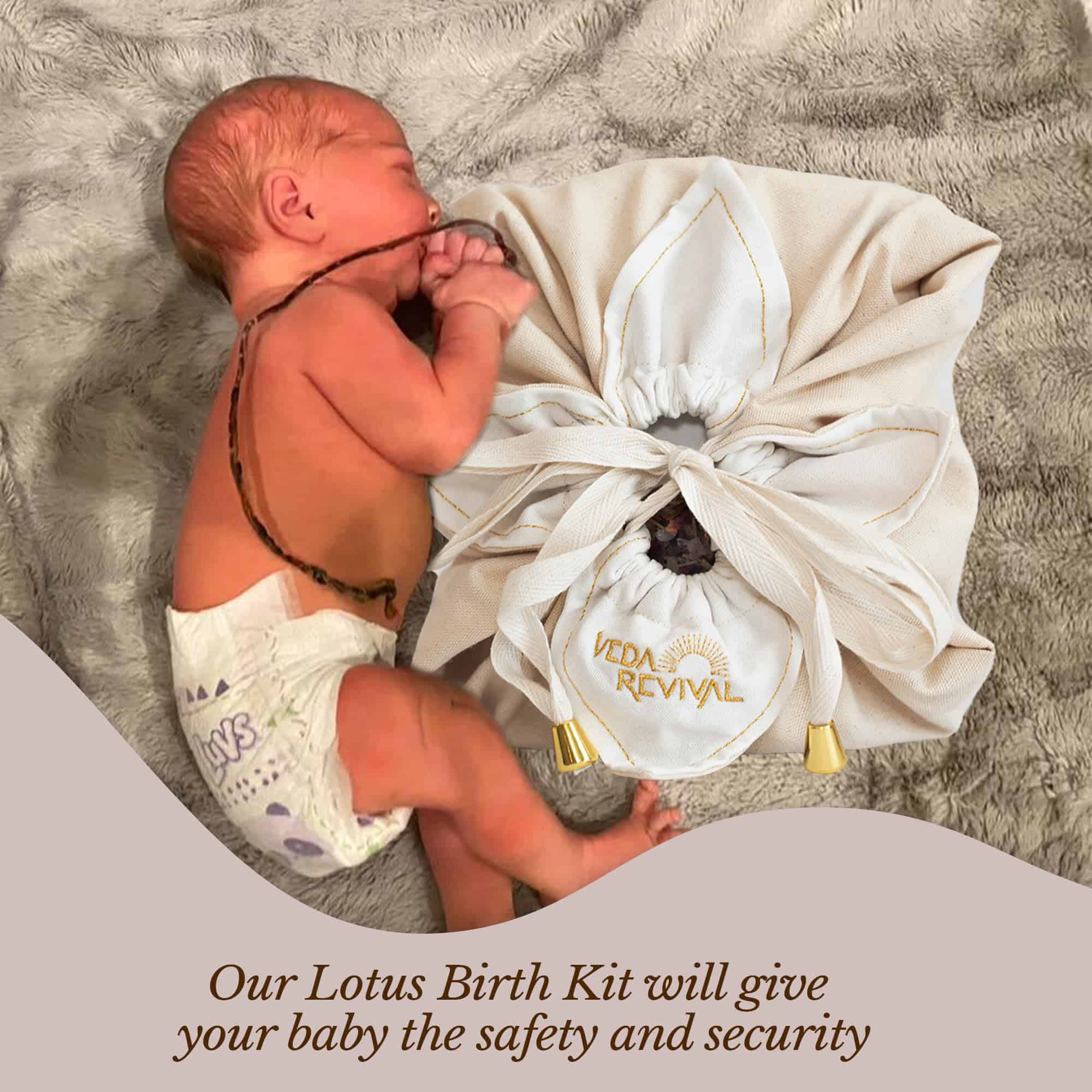 Kit de Nacimiento de Loto Veda Revival - Elementos - Imagen 7