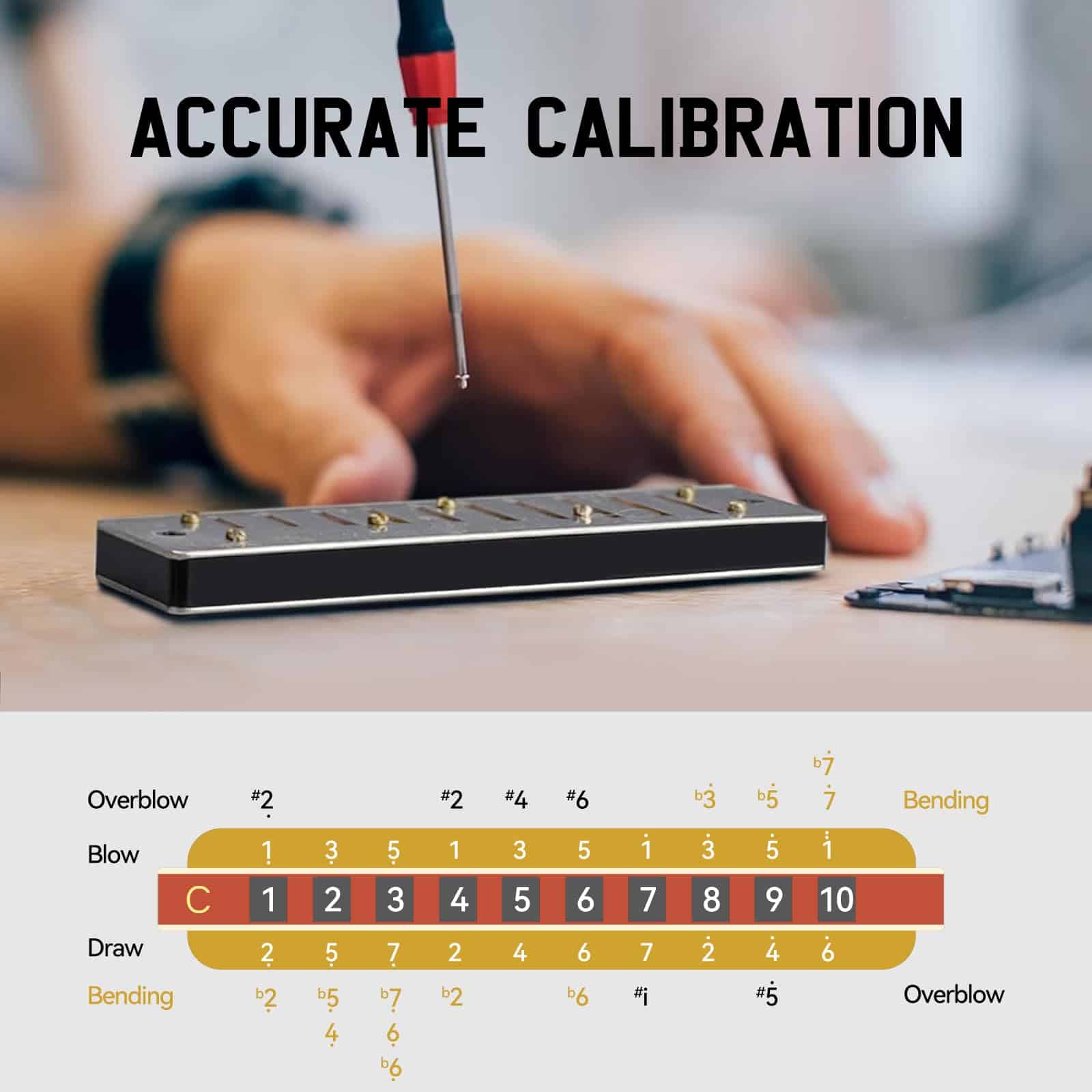 Armonica SDREAM para Adultos Principiantes en C Key 10 - Imagen 7