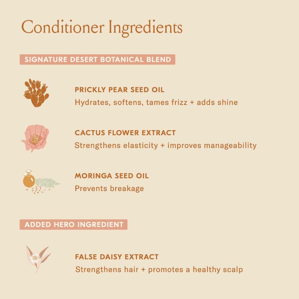 Set Dúo DAE Signature (Shampoo y Acondicionador) - Imagen 8