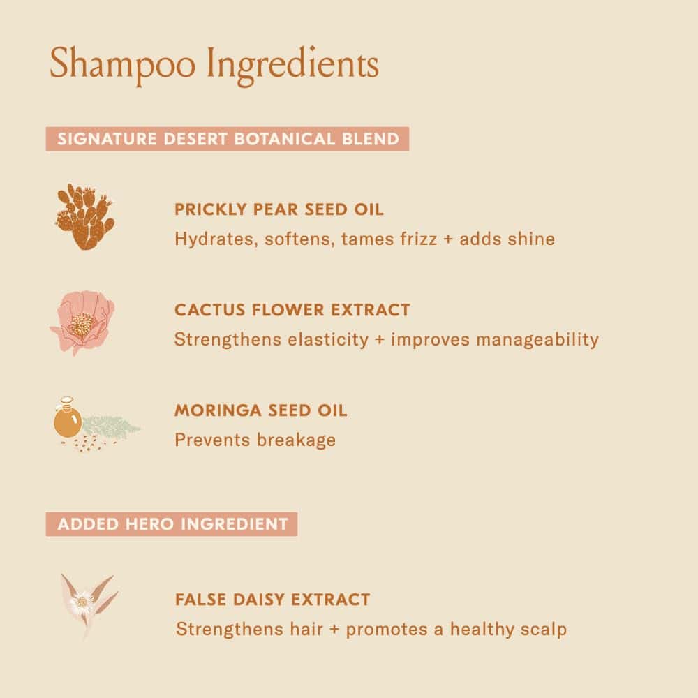 Set Dúo DAE Signature (Shampoo y Acondicionador) - Imagen 5