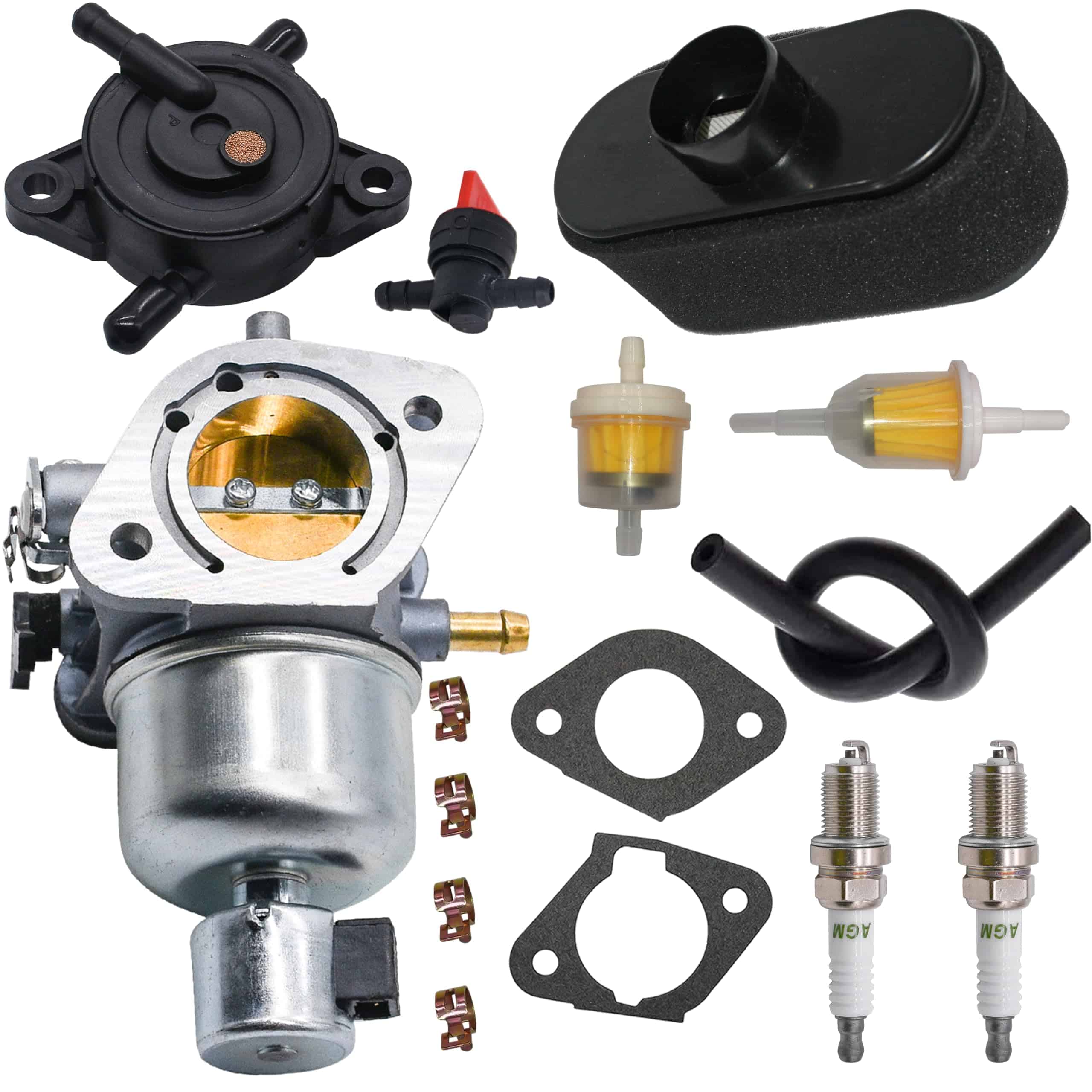 Carburador Lanigram 15004-0985 Compatible -4 Tiempos