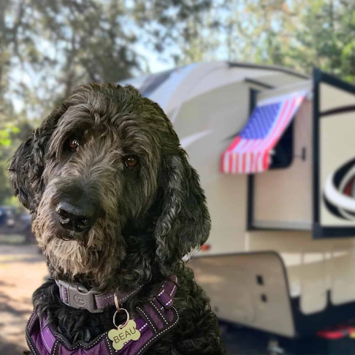 Toldo de ventana desmontable para RV - Desmontable para - Imagen 8