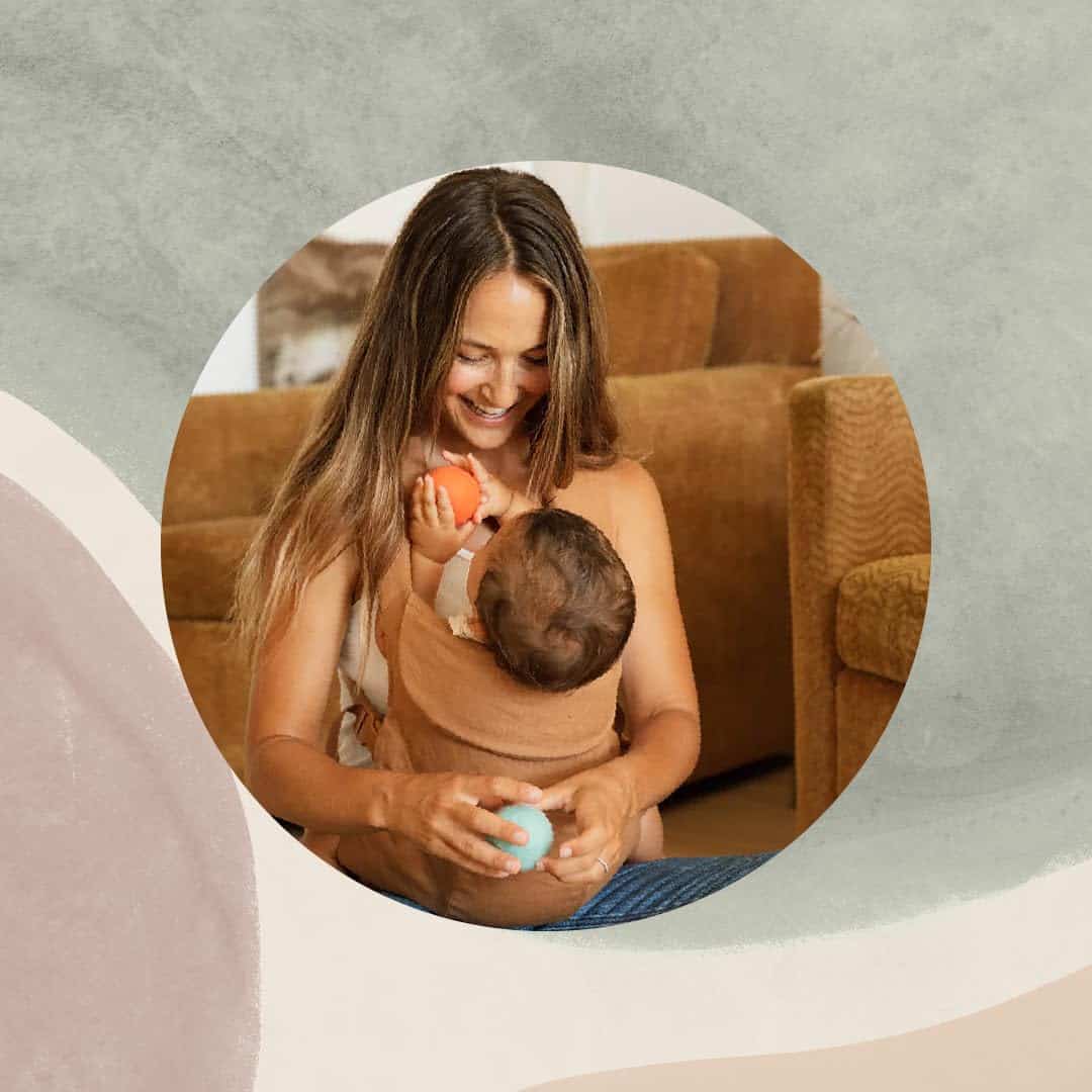 WildBird - Portador Aéreo - 7 a 45 lbs - para -Sauce - Imagen 4