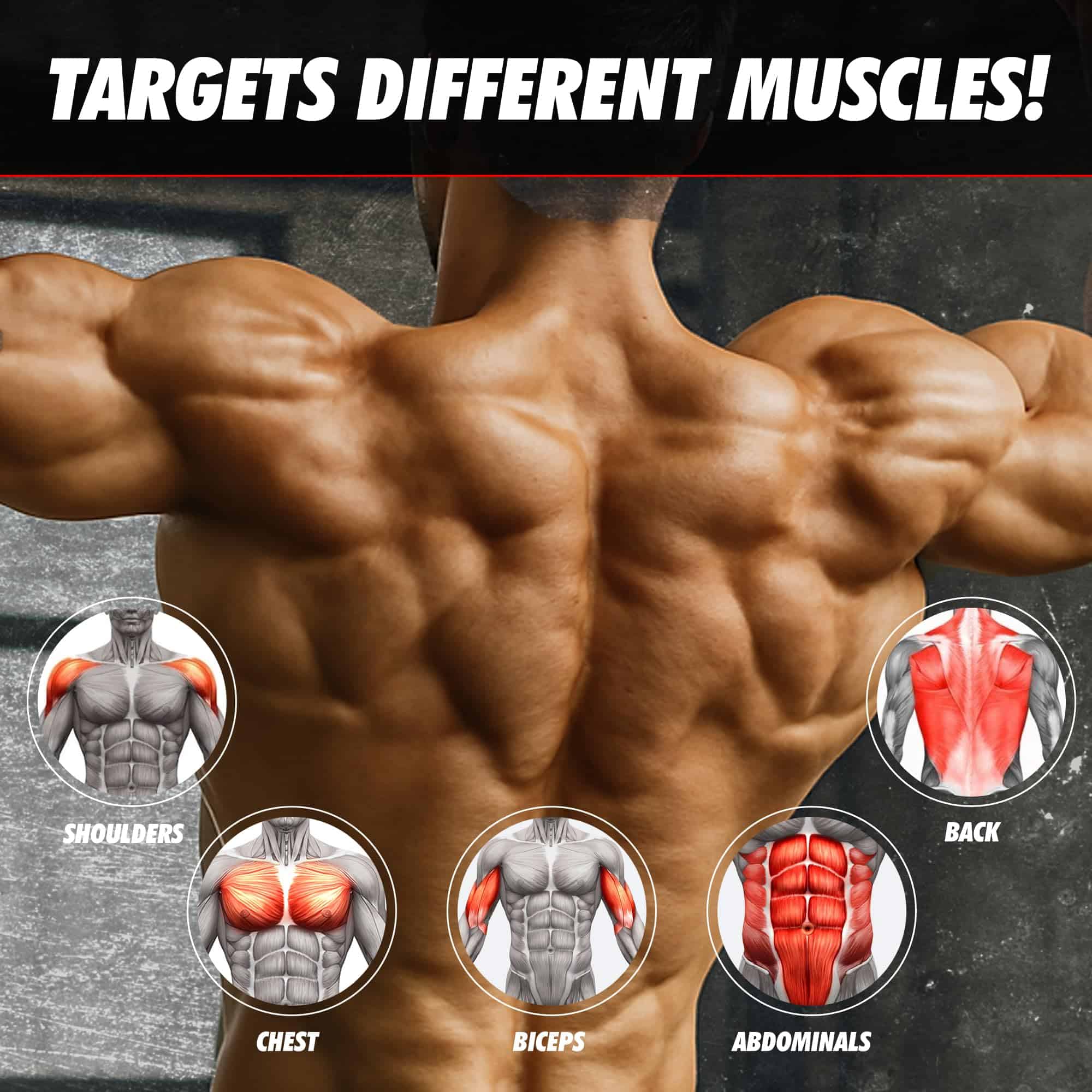 Banda de Asistencia para Flexiones MuscleForge, Banda de - Imagen 7