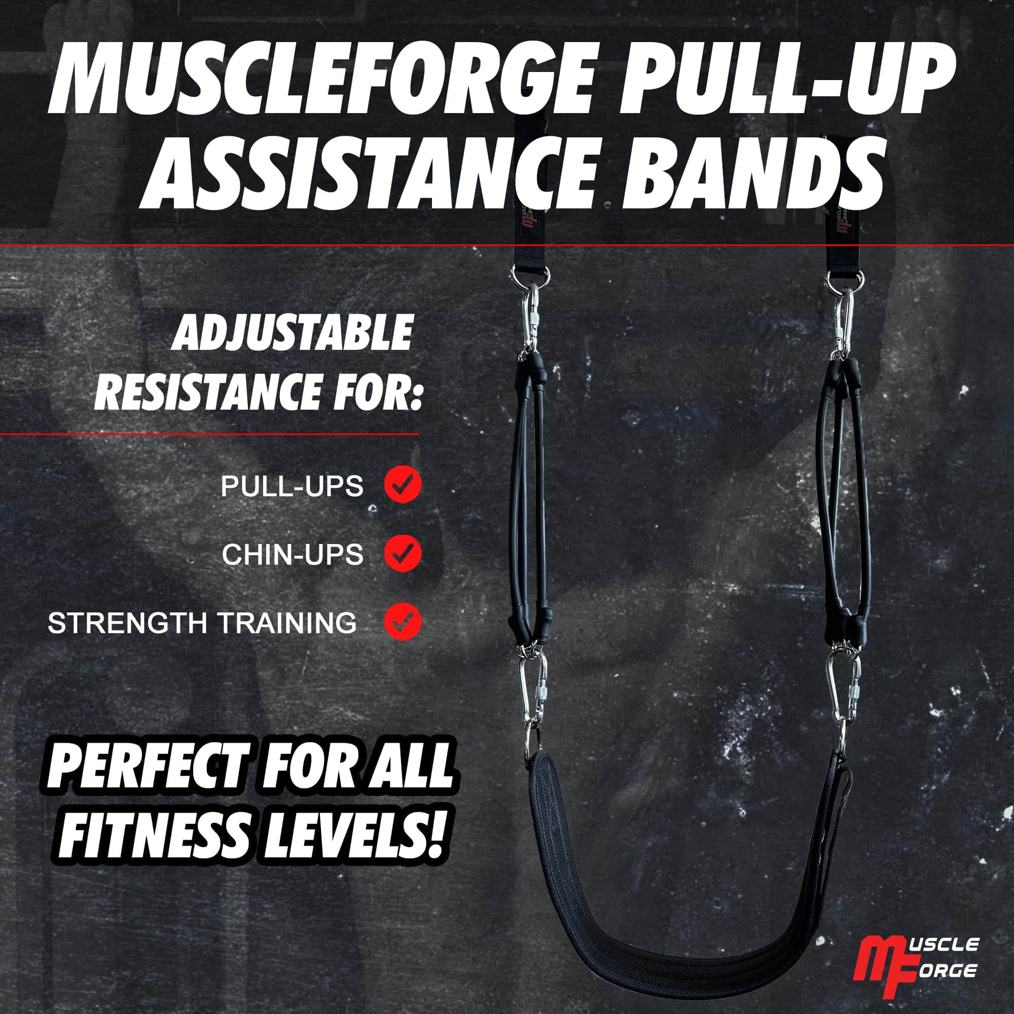 Banda de Asistencia para Flexiones MuscleForge, Banda de - Imagen 6