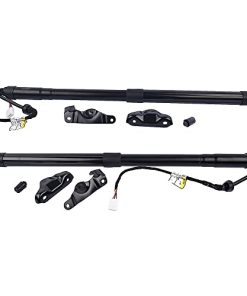 Quicauto 2x Soporte de Elevación de la Puerta Trasera del