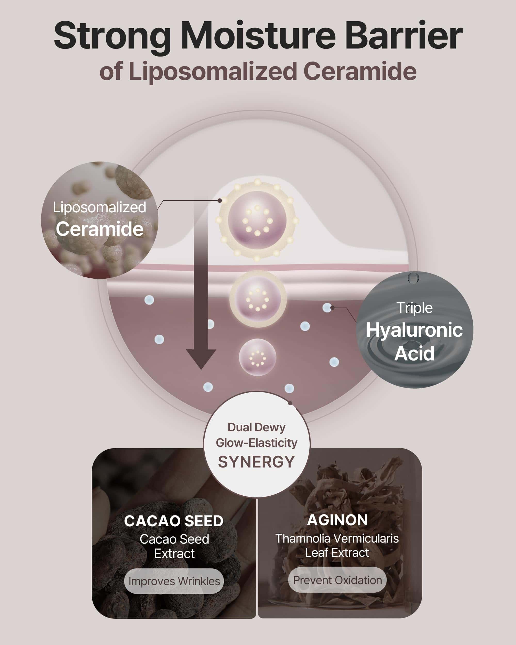 Crema Antioxidante Theralogic Phytocera Pro 10X Lifting - - Imagen 6