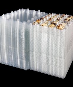KUKLIPJIM 120 Paquete Cartones de Huevos de Codorniz -