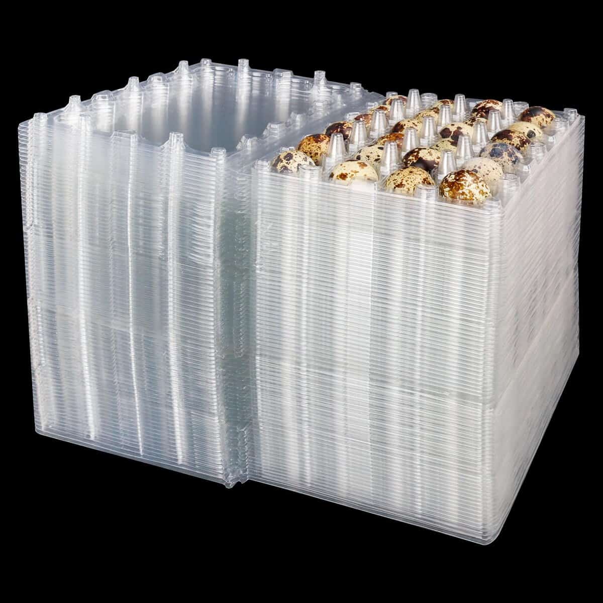 KUKLIPJIM 120 Paquete Cartones de Huevos de Codorniz -