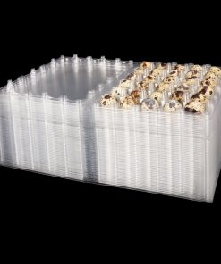 100 Pack Cartones de Huevos de Codorniz, Bandejas de