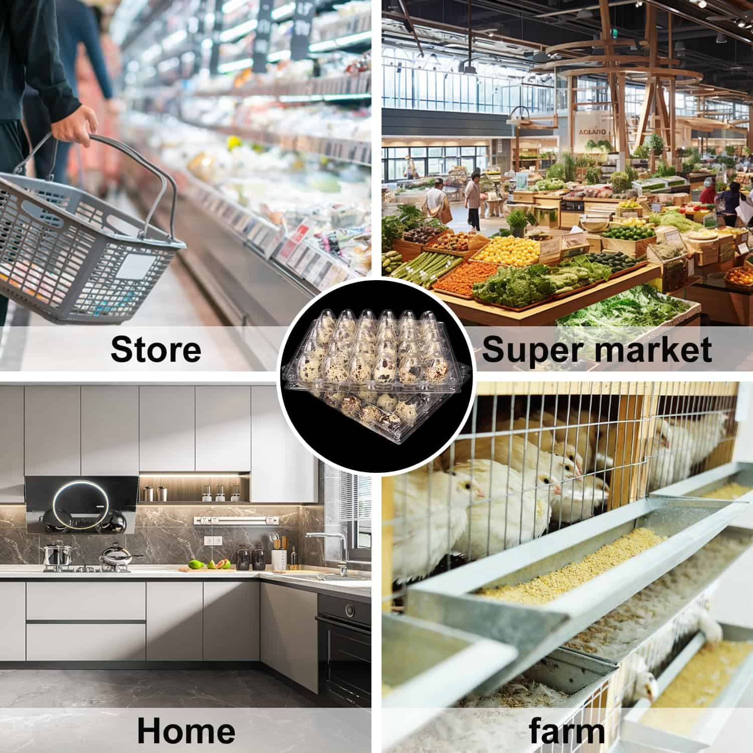 100 Pack Cartones de Huevos de Codorniz, Bandejas de - Imagen 8